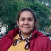 Resolución de prácticos online en 48-72hs,nivel secundario